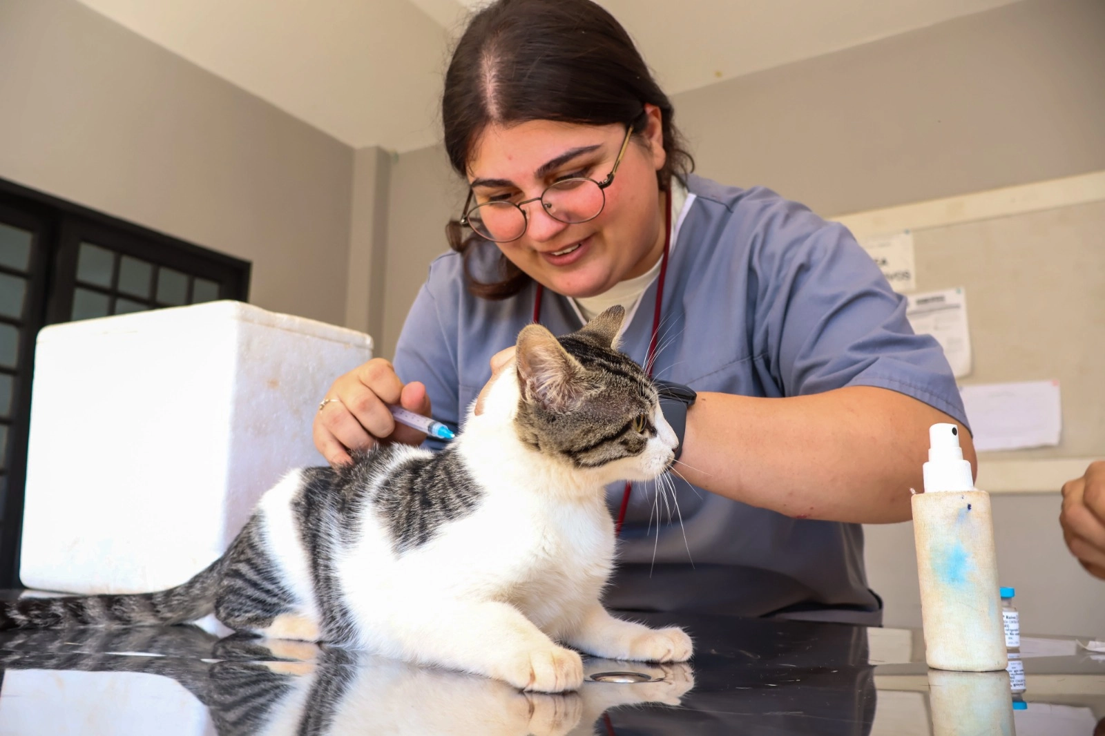 Prefeitura de Maringá, por meio da Secretaria de Proteção e Bem-Estar Animal,
