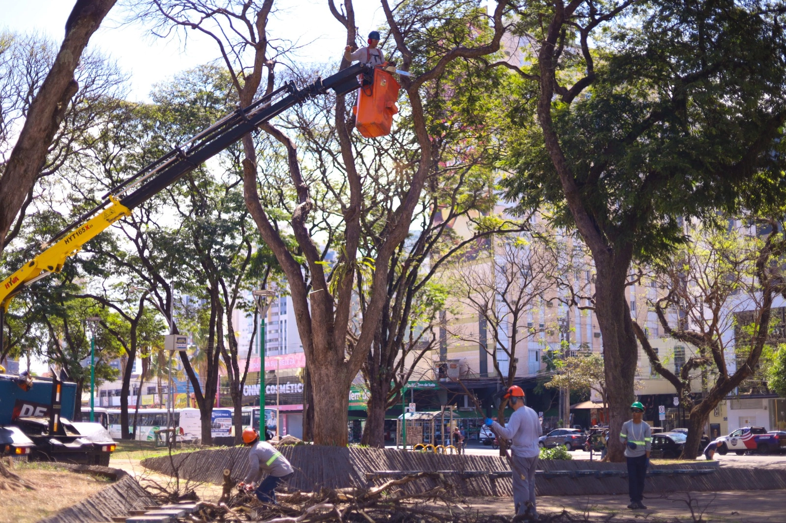 Maringá investe em tecnologia, infraestrutura e mão de obra para minimizar impactos causados por temporais