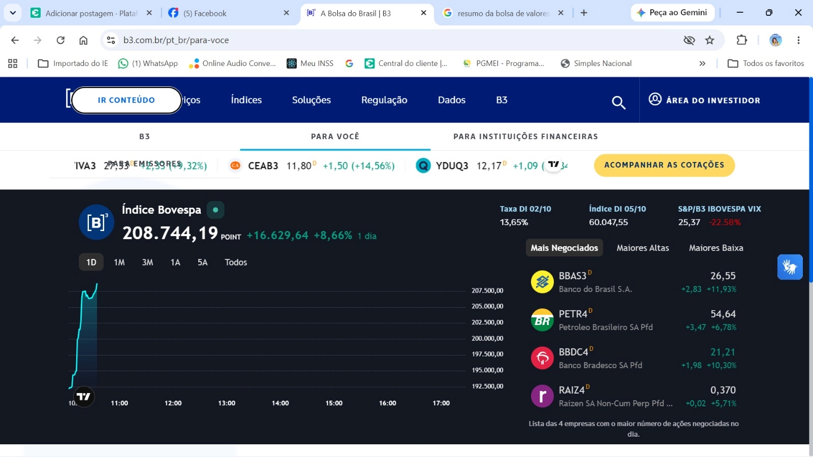 Resumo do Mercado: Eleições disparam rali na Bolsa e dólar despenca após 1º turno