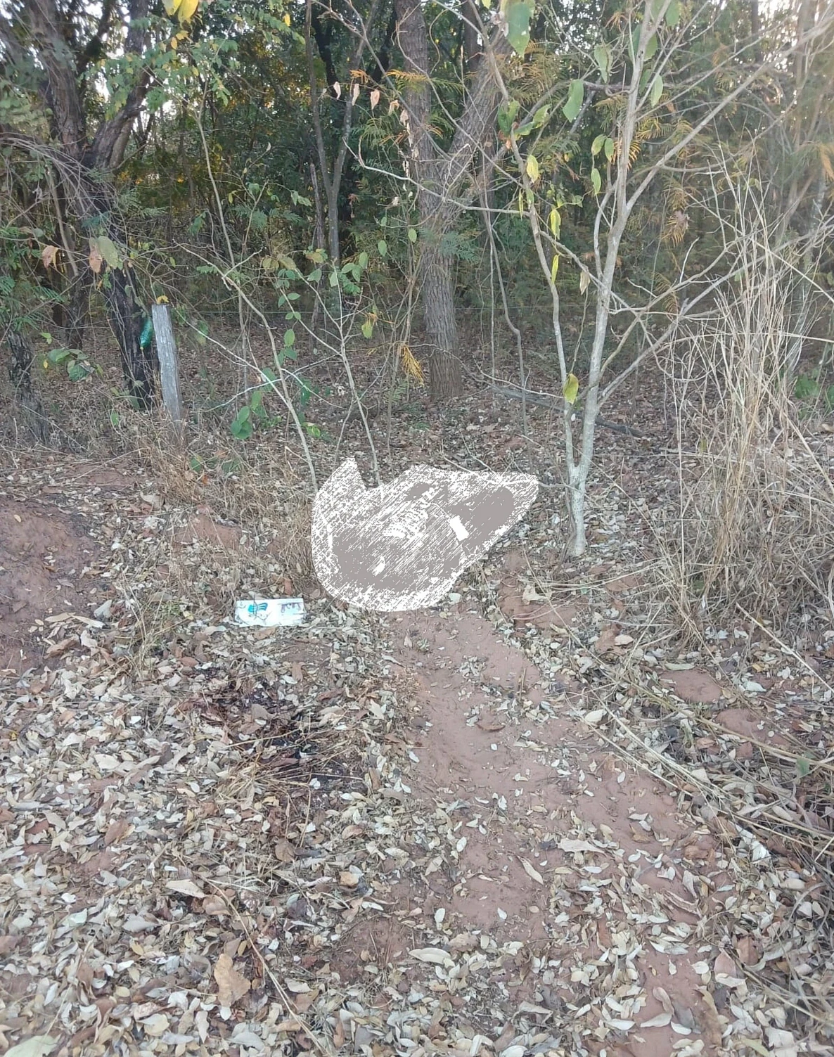 Sonora (MS) Corpo de homem é encontrado decapitado em área rural próxima a Sonora