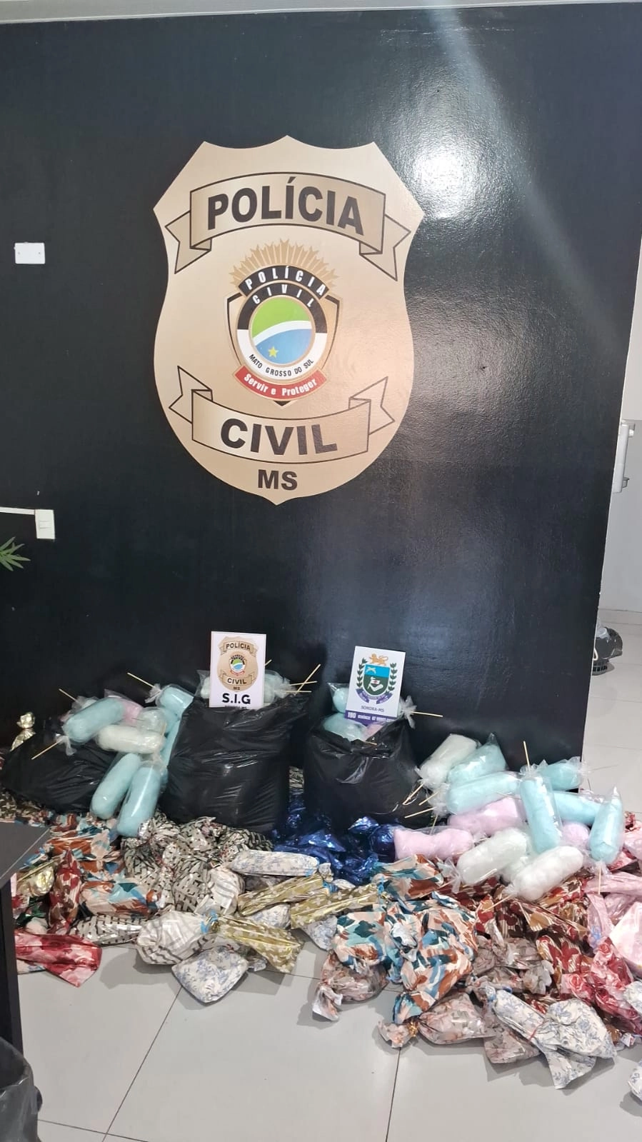 Polícia Civil prende duas mulheres suspeitas de ligação com organização criminosa em Sonora