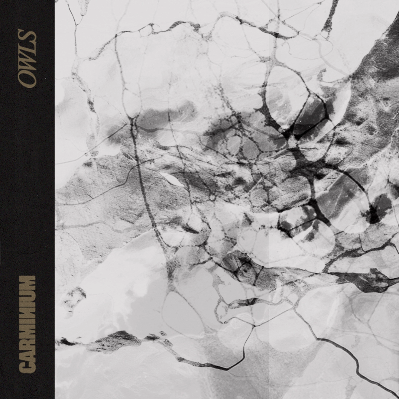 Carminium retorna ao universo do álbum "Kintsugi" com "Owls", faixa bônus que expande o conceito do disco