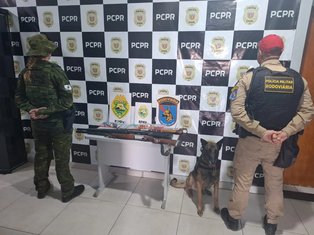 Imagem de exemplo
