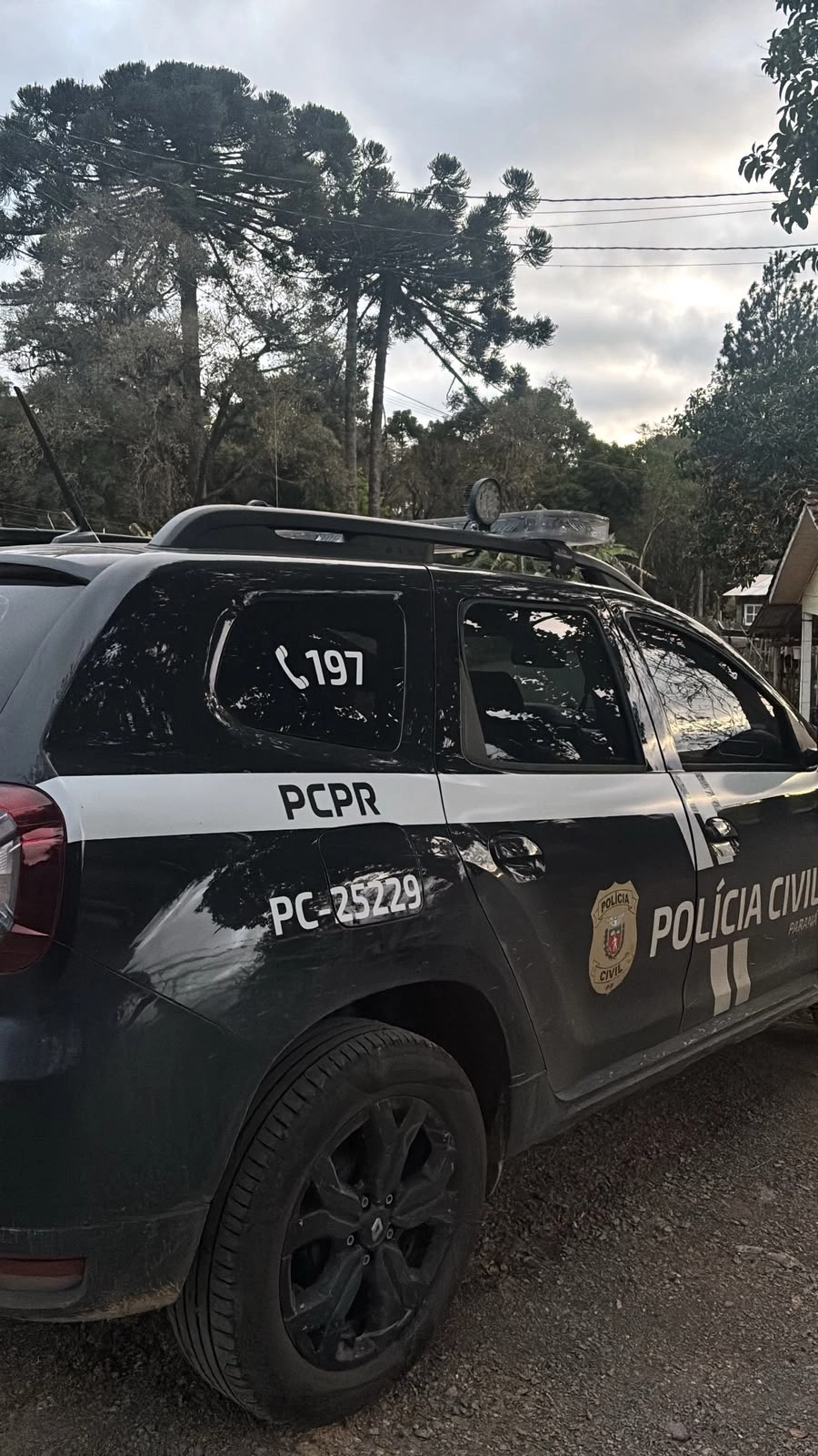 PCPR cumpre mandado de prisão durante investigação de furtos em Irati
