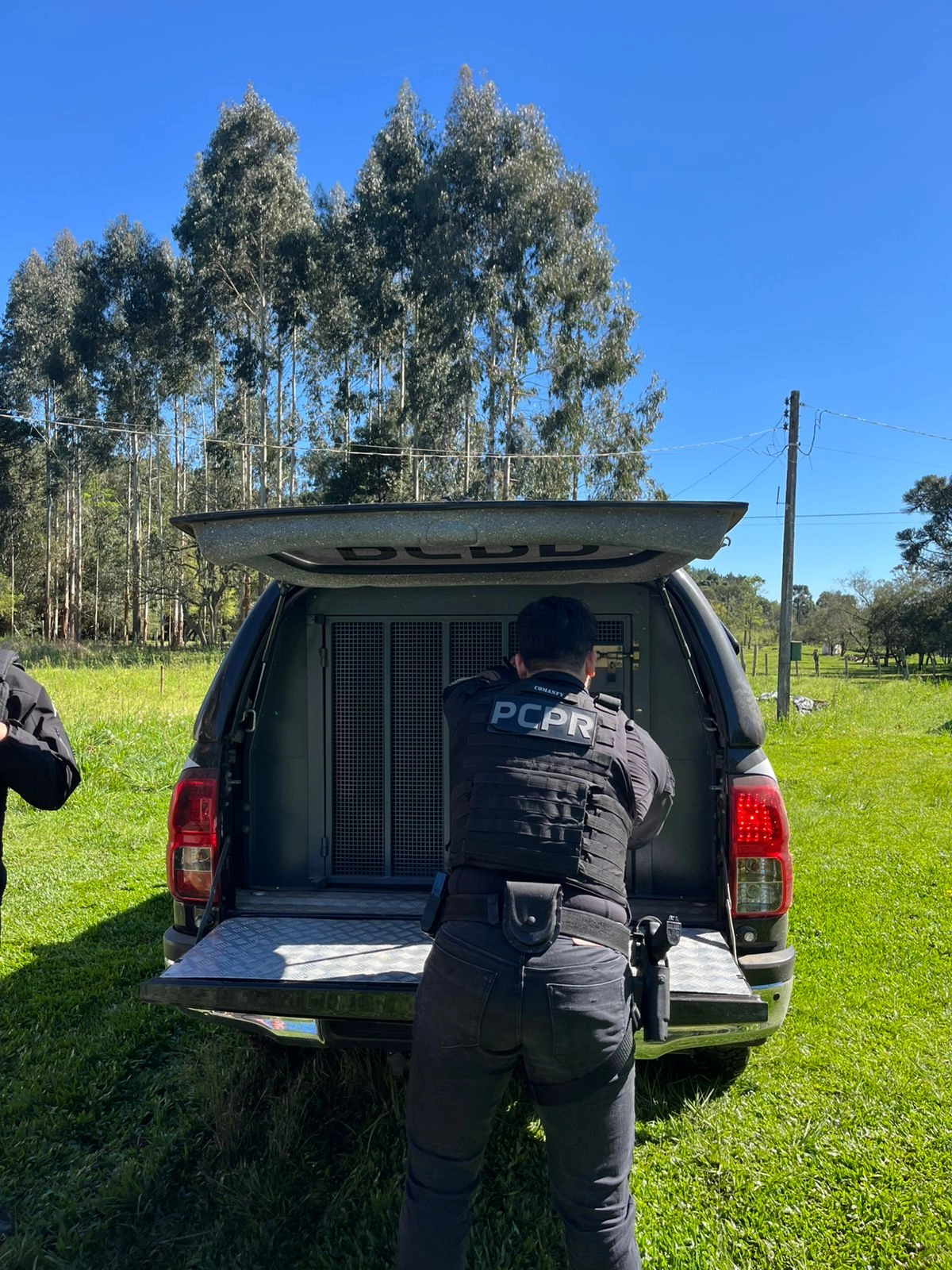 Polícia Civil prende homem investigado por estupro de vulnerável em Irati