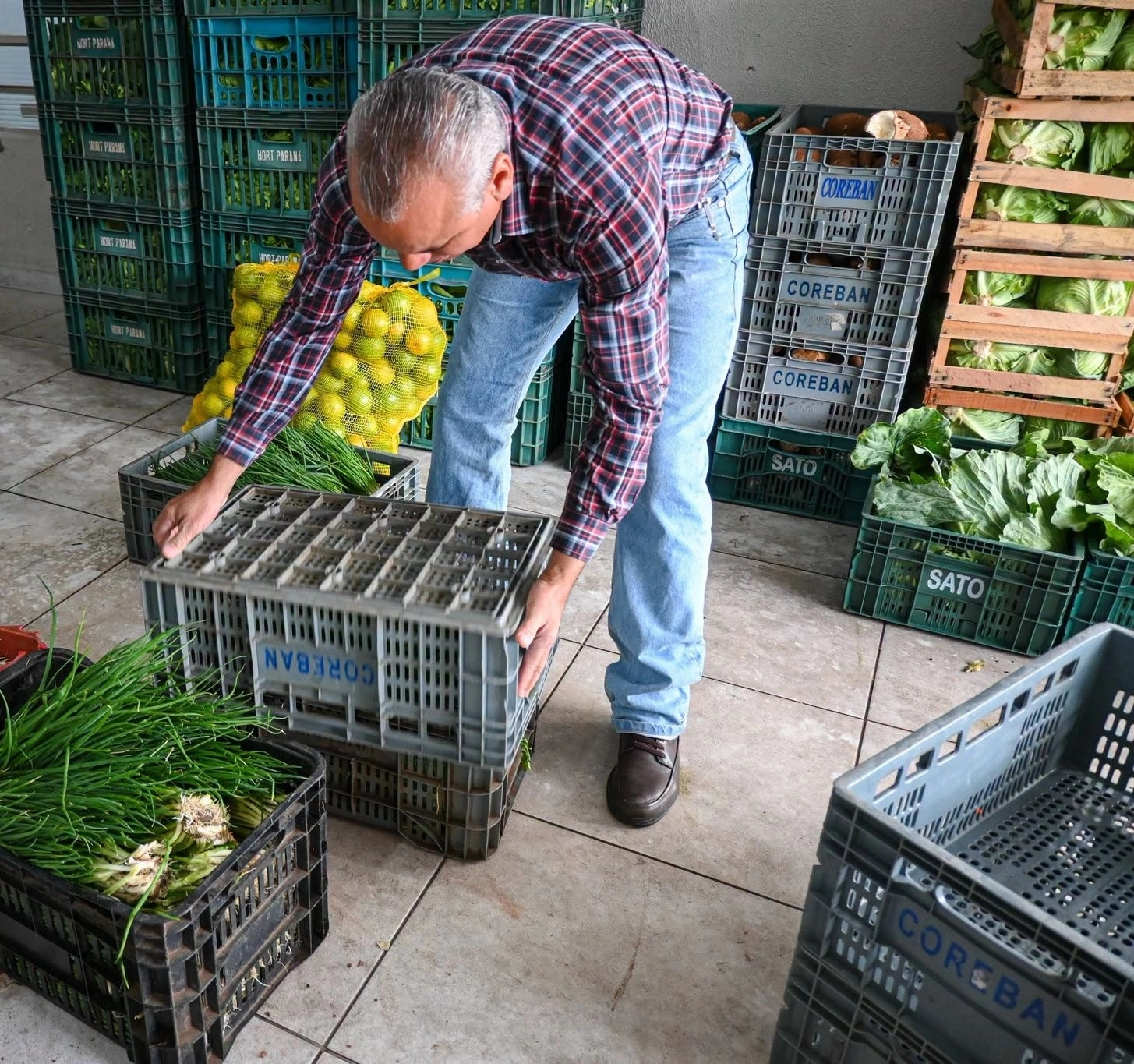 SAA abre novo chamamento público do Programa de Aquisição de Alimentos