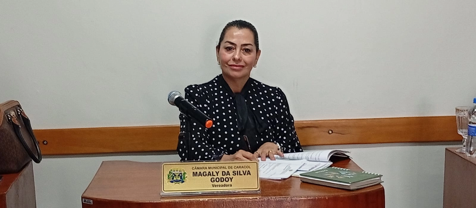 Vereadora Magaly Godoy solicita instalação de faixas elevadas para reforçar a segurança no trânsito de Caracol.