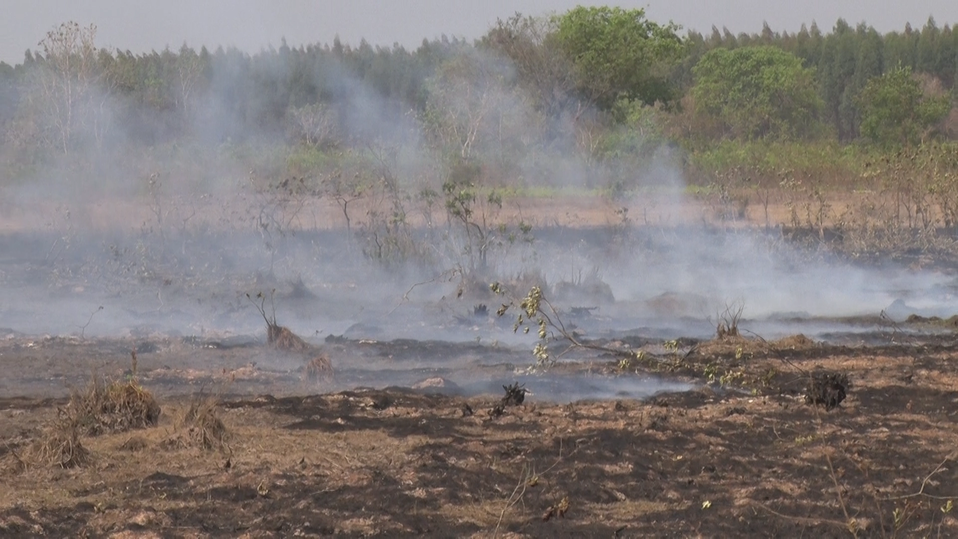 Fumaça e Fuligem Encobrem Três Lagoas: Incêndios Urbanos e Florestais Aumentam Preocupação