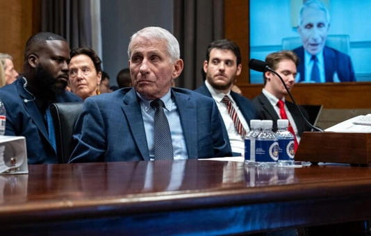 Ex-assessor de Fauci declara-se culpado de tentar ocultar registros relacionados à covid-19