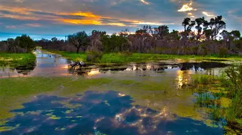 NOTICIAS DE MATO GROSSO DO SUL - MS.