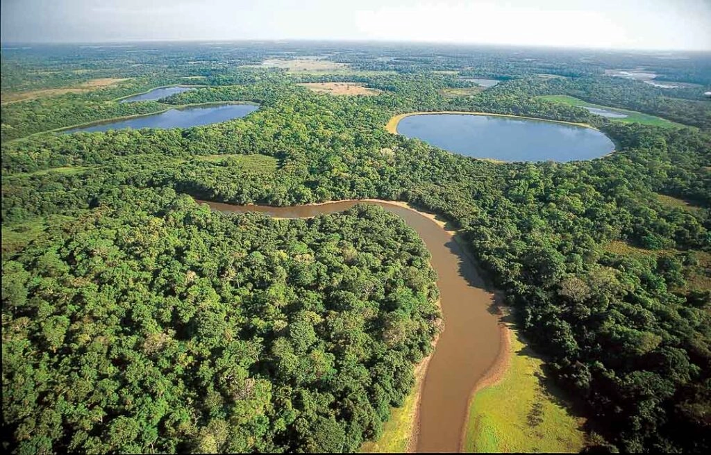 NOTICIAS DE MATO GROSSO DO SUL - MS.