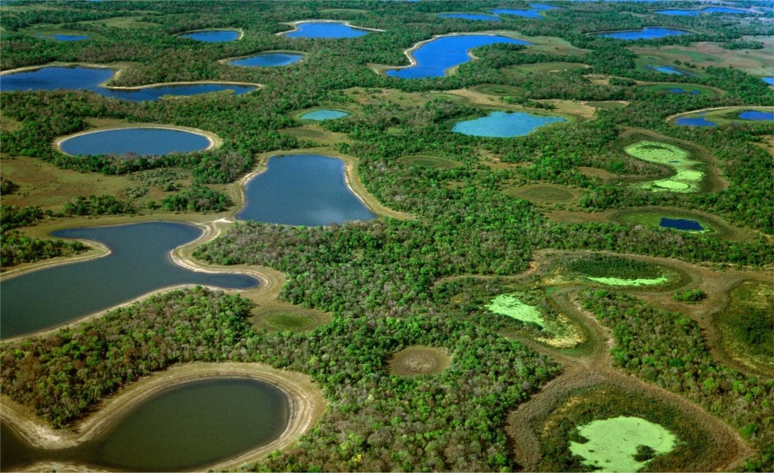 NOTICIA DE MATO GROSSO DO SUL - MS.