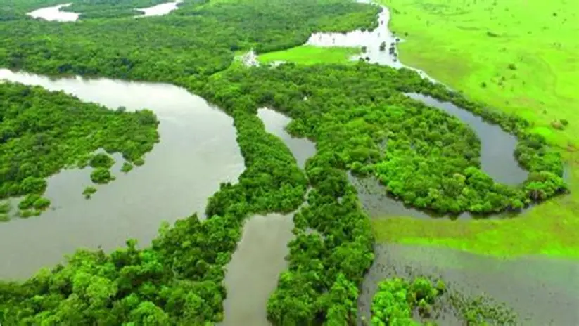 NOTICIAS DE MATO GROSSO DO SUL - MS