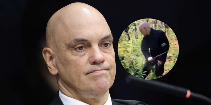 Antes de polêmica com Vorcaro: Há 10 anos, Alexandre de Moraes cortava pés de maconha no Paraguai; depois, votou pela descriminalização