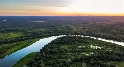NOTICIA DE MATO GROSSO DO SUL - MS.
