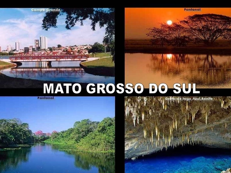 NOTICIAS DE MATO GROSSO DO SUL - MS