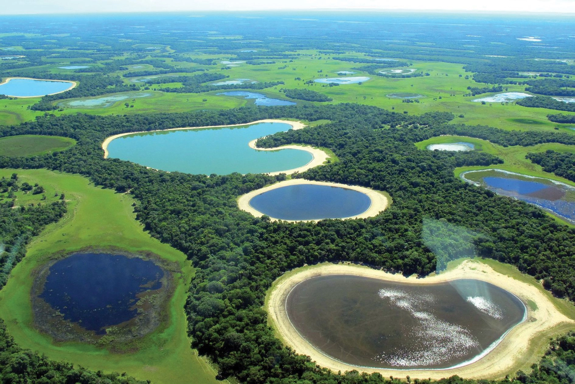 NOTICIAS DE MATO GROSSO DO SUL -MS.
