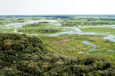 NOTICIAS DE MATO GROSSO DO SUL  -MS