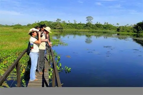 NOTICIAS DE MATO GROSSO DO SUL - MS