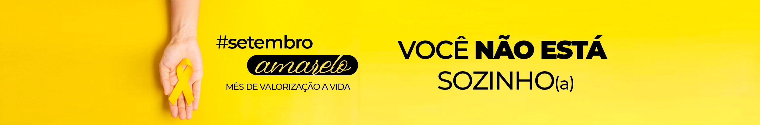 SET AMARELO